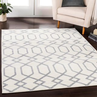 Surya Horizon HRZ-1048 Area Rug Room Scene Feature
