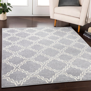 Surya Horizon HRZ-1073 Area Rug Room Scene Feature