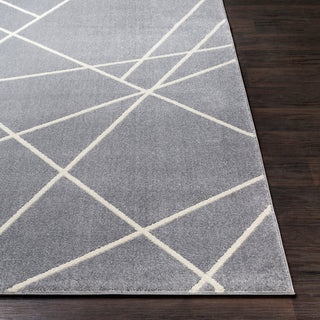 Surya Horizon HRZ-2301 Area Rug 