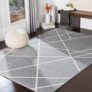 Surya Horizon HRZ-2301 Area Rug Room Scene Feature