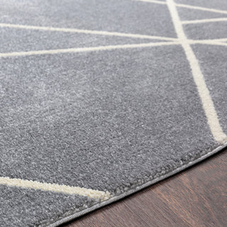 Surya Horizon HRZ-2301 Area Rug Detail