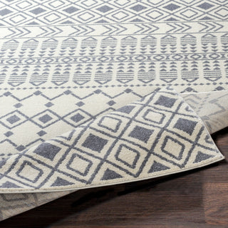 Surya Horizon HRZ-2316 Area Rug 