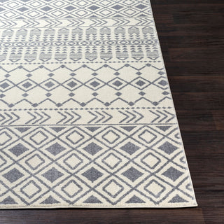 Surya Horizon HRZ-2316 Area Rug 