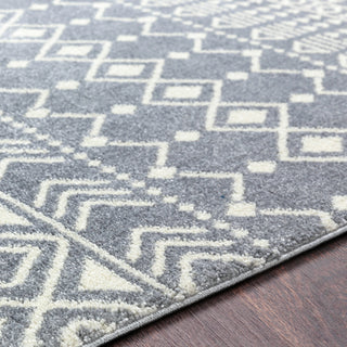 Surya Horizon HRZ-2317 Area Rug Detail