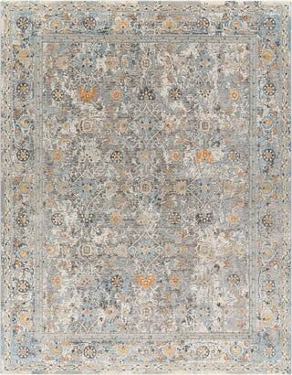 Surya Hassler HSL-2300 Area Rug main image