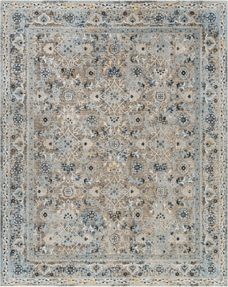 Surya Hassler HSL-2301 Area Rug main image