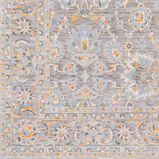 Surya Hassler HSL-2304 Area Rug Swatch