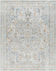 Surya Hassler HSL-2306 Area Rug main image