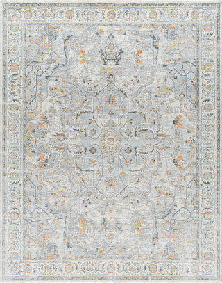 Surya Hassler HSL-2306 Area Rug main image