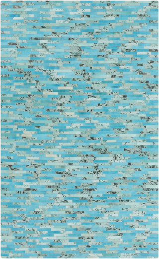 Surya Houseman HSM-4000 Aqua Area Rug 5' x 8'