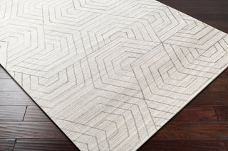 Surya Hightower HTW-3012 Area Rug Corner Shot