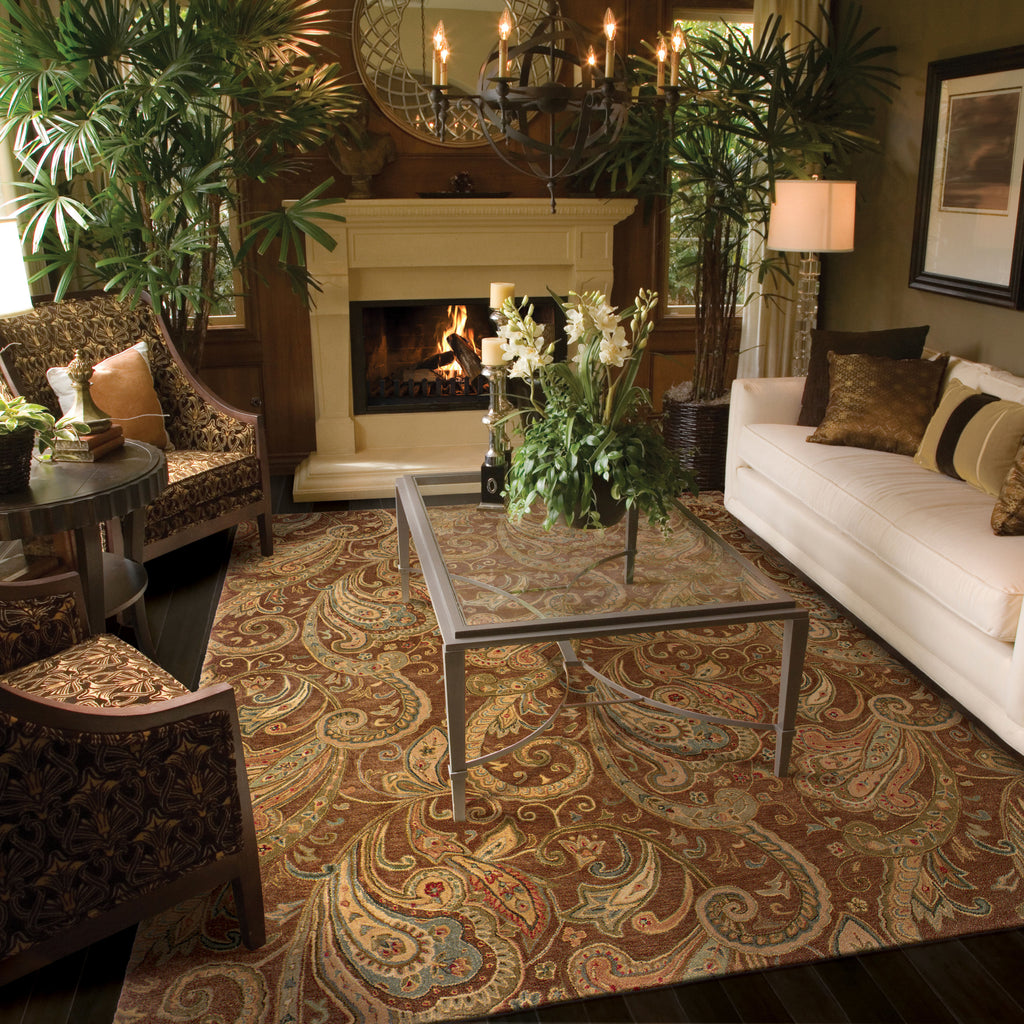 Brown Rug Living Room Ideas | Cabinets Matttroy