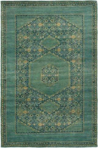 Surya Haven HVN-1217 Teal Area Rug 5'6'' x 8'6''