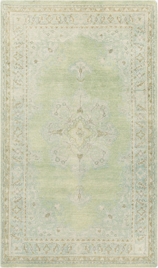 Surya Haven HVN-1222 Light Gray Area Rug 5'6'' x 8'6''