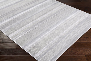 Surya Hazar HZR-2304 Area Rug Corner Image Feature