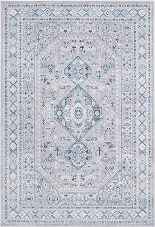 Surya Hazar HZR-2309 Area Rug main image