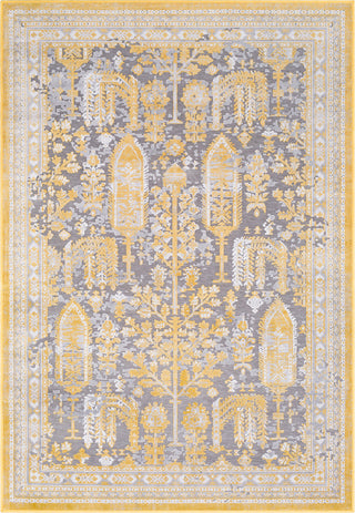 Surya Hazar HZR-2311 Saffron Charcoal Medium Gray White Light Area Rug main image