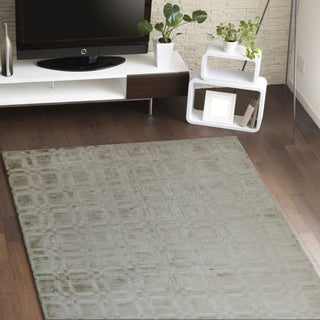 Bashian Radiance I163-WZ Platinum Area Rug Room Scene Feature