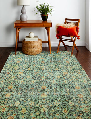 Bashian Impressions I166-NR110 Aqua Area Rug