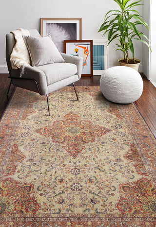 Bashian Impressions I166-NR113 Beige Area Rug