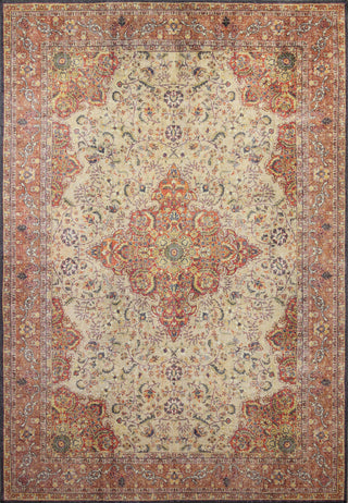 Bashian Impressions I166-NR113 Beige Area Rug