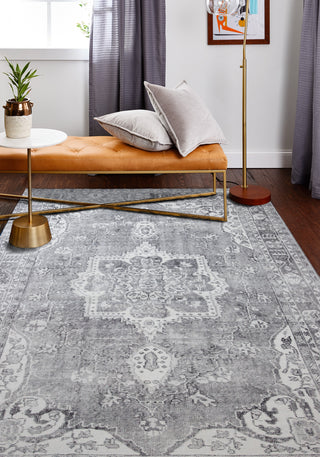 Bashian Impressions I166-NR112 Grey Area Rug