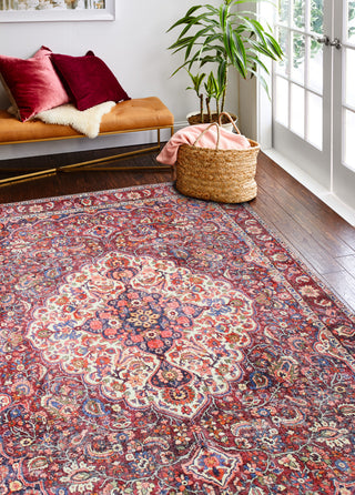 Bashian Impressions I166-NR109 Ru Area Rug