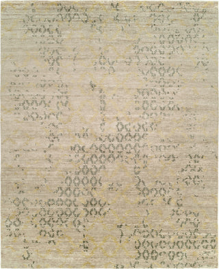 Ancient Boundaries Iain IAI-13 Area Rug main image