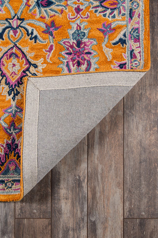 Momeni Ibiza IBI-4 Orange Area Rug Room Image