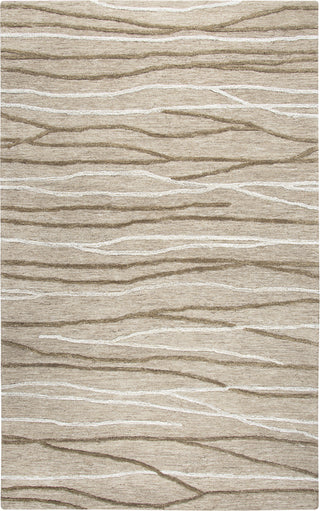 Rizzy Idyllic ID969A Natural Area Rug main image