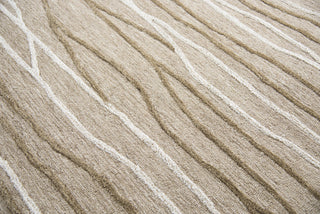 Rizzy Idyllic ID969A Natural Area Rug Style Image