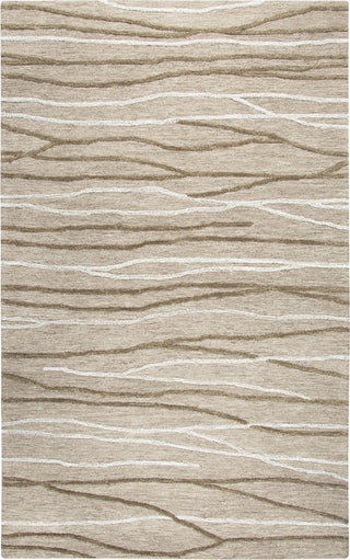 Rizzy Idyllic ID969A Natural Area Rug Main Image