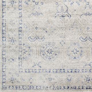 Surya Indigo IGO-2301 Area Rug