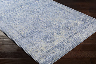Surya Indigo IGO-2302 Area Rug  Feature