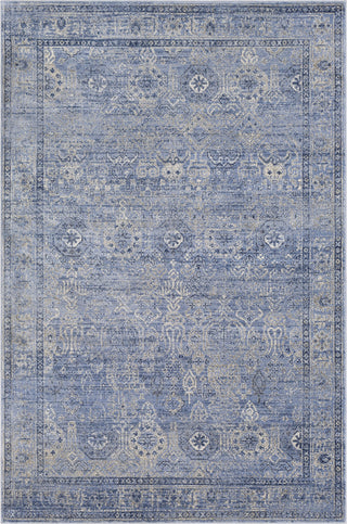 Surya Indigo IGO-2302 Area Rug main image