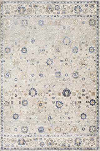 Surya Indigo IGO-2303 Area Rug main image