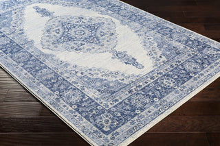 Surya Indigo IGO-2305 Area Rug  Feature