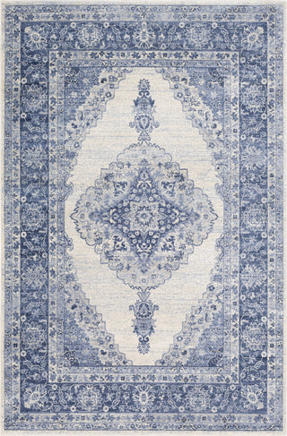 Surya Indigo IGO-2305 Area Rug main image