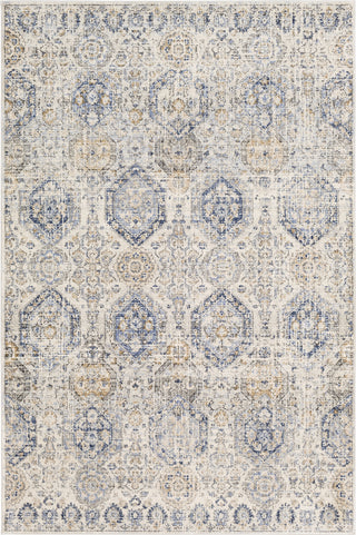 Surya Indigo IGO-2308 Area Rug Main Image 