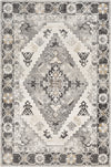 Surya Indigo IGO-2311 Area Rug main image