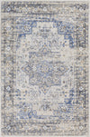 Surya Indigo IGO-2312 Area Rug main image