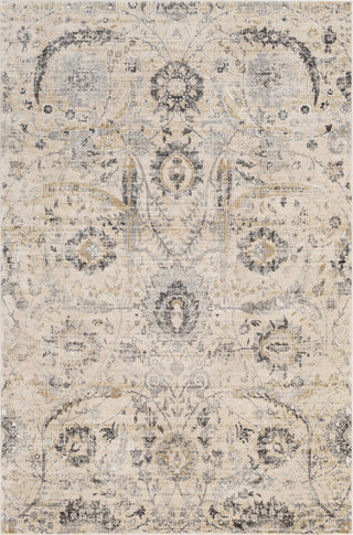 Surya Indigo IGO-2319 Area Rug Main Image 