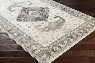 Surya Indigo IGO-2322 Area Rug  Feature