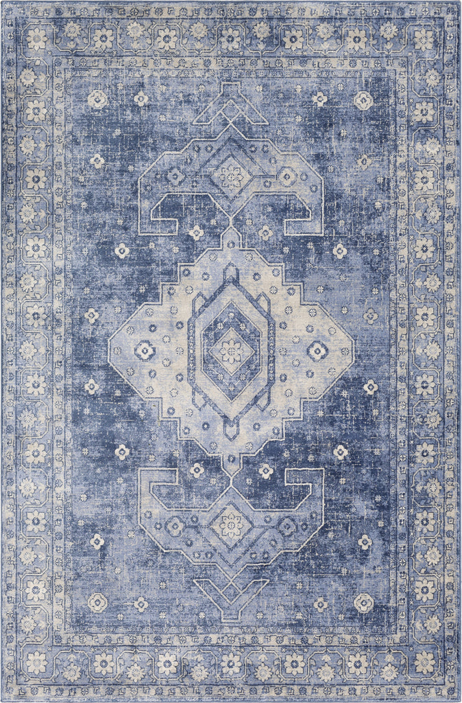 Surya Indigo IGO-2323 Area Rug main image