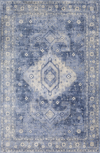 Surya Indigo IGO-2323 Area Rug main image