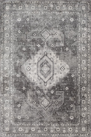 Surya Indigo IGO-2324 Area Rug main image