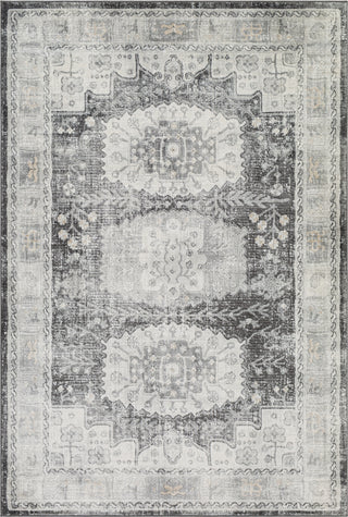 Surya Indigo IGO-2326 Area Rug