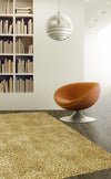 Dalyn Illusions IL69 Beige Area Rug Lifestyle Image Feature
