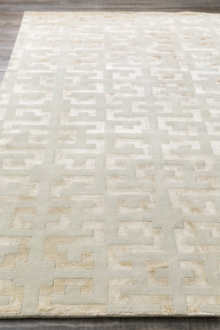 Surya Mugal IN-8578 Area Rug