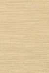 Chandra India IND-8 Beige Area Rug Close Up